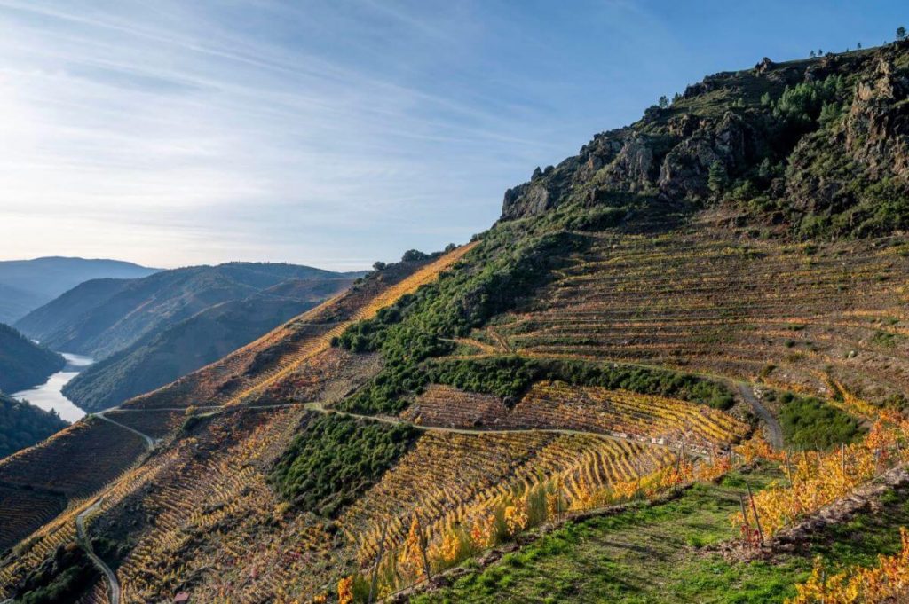donde-comer-bien-y-barato-en-la-ribeira-sacra